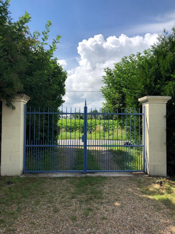 Chambres D Hotes Avec Piscine Et Spa La Foliere Saumur Villebernier Exteriör bild