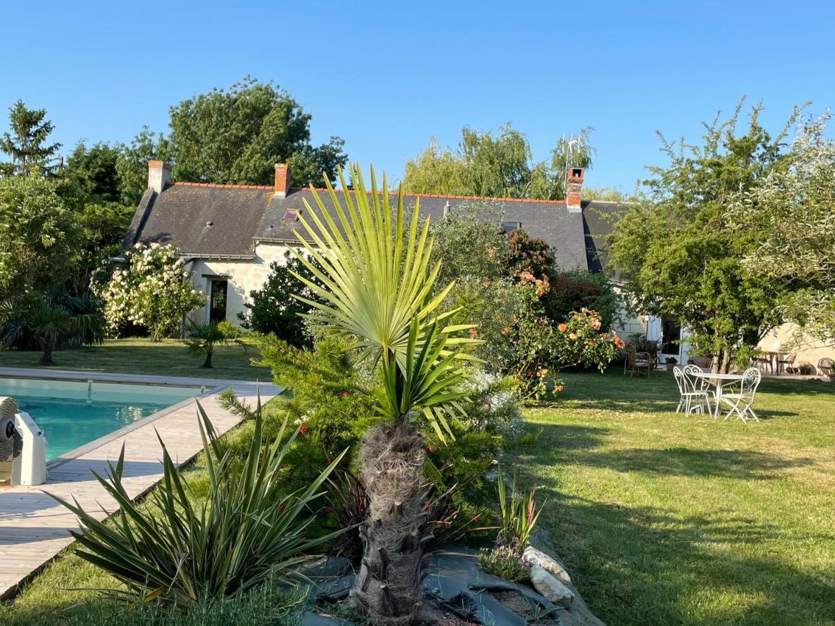 Chambres D Hotes Avec Piscine Et Spa La Foliere Saumur Villebernier Exteriör bild